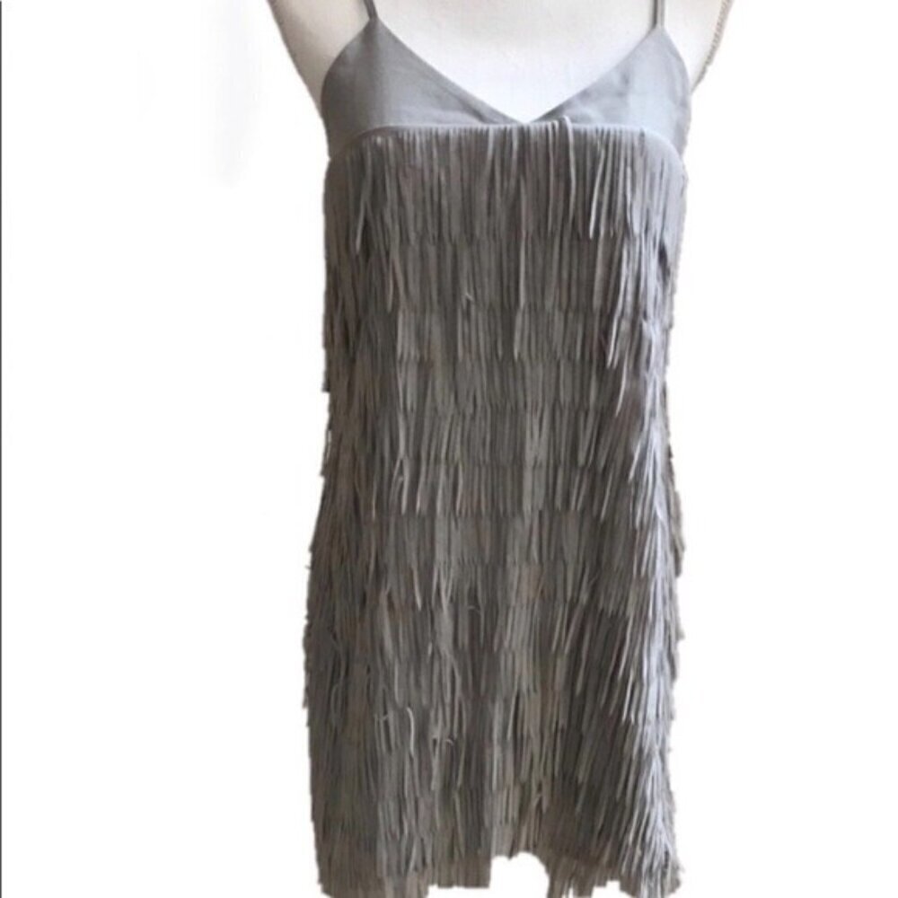 Black Swan Arden Dove Grey Fringe Mini Dress Size Small Flapper Party Costume